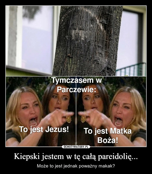 
    Kiepski jestem w tę całą pareidolię...