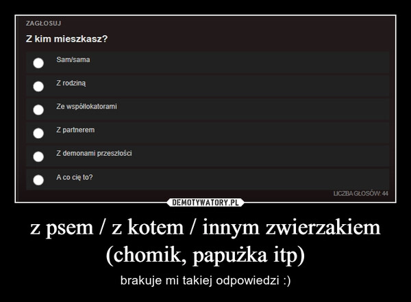 
    z psem / z kotem / innym zwierzakiem (chomik, papużka itp)