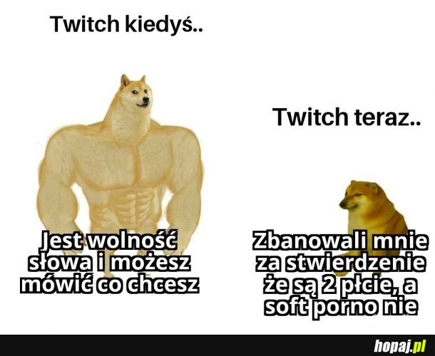 
    Twitch na przestrzeni kilku lat...