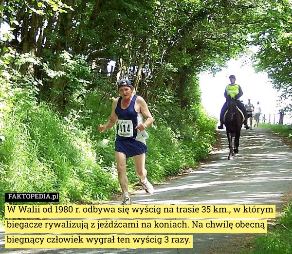 
    W Walii od 1980 r. odbywa się wyścig na trasie 35 km., w którym biegacze