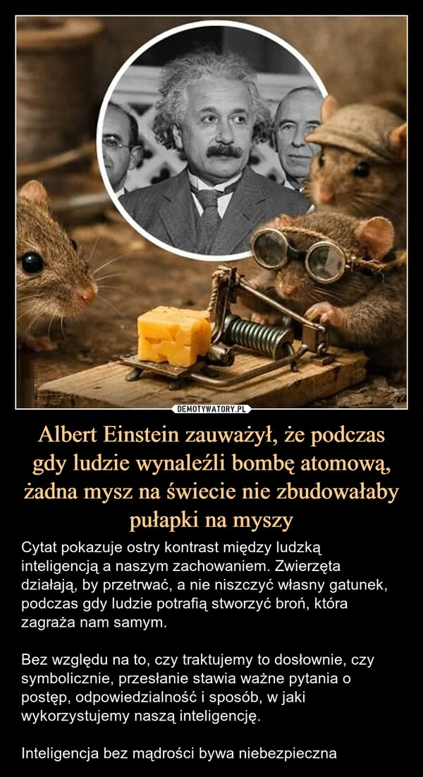 
    Albert Einstein zauważył, że podczas gdy ludzie wynaleźli bombę atomową, żadna mysz na świecie nie zbudowałaby pułapki na myszy