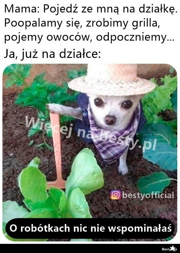 
    To była podpucha 