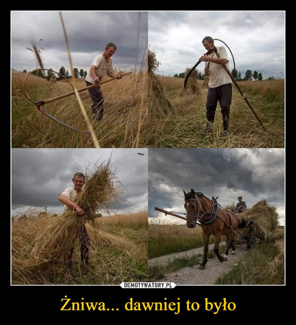 
    Żniwa... dawniej to było