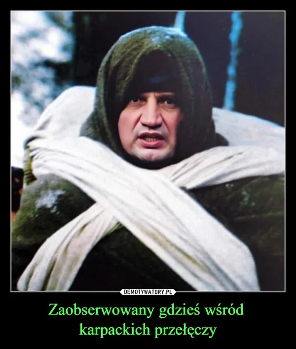 
    Zaobserwowany gdzieś wśród karpackich przełęczy