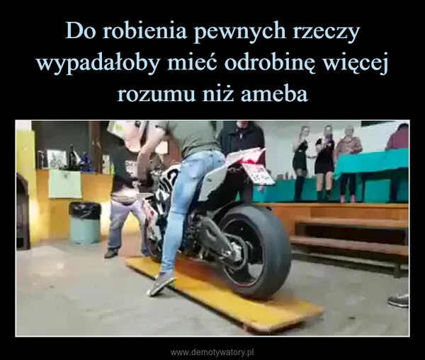 
    Do robienia pewnych rzeczy wypadałoby mieć odrobinę więcej rozumu niż ameba