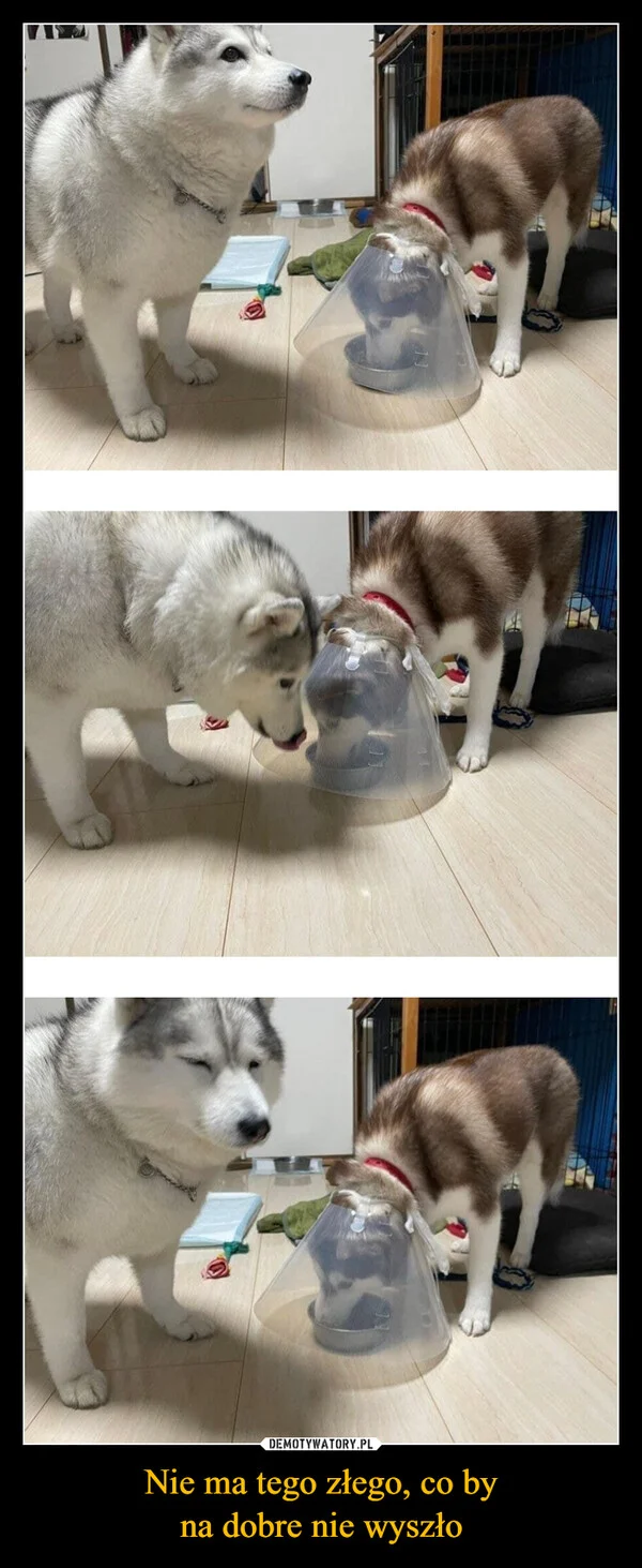 
    Nie ma tego złego, co by na dobre nie wyszło