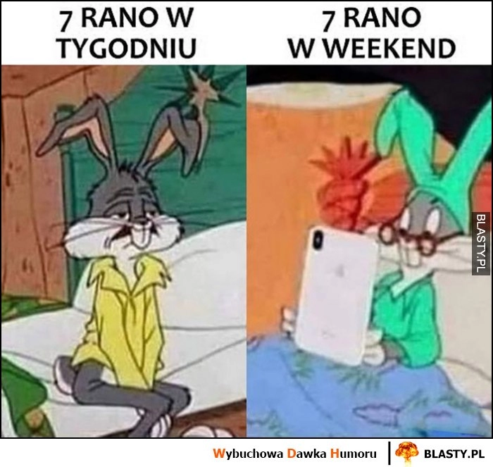 
    7 rano w tygodniu vs 7 rano w weekend Królik Bugs porównanie