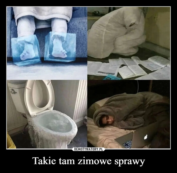 
    
Takie tam zimowe sprawy 