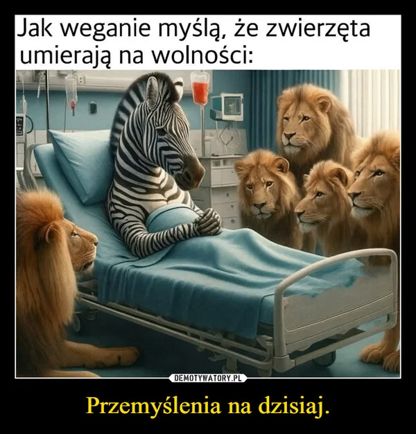 
    Przemyślenia na dzisiaj.