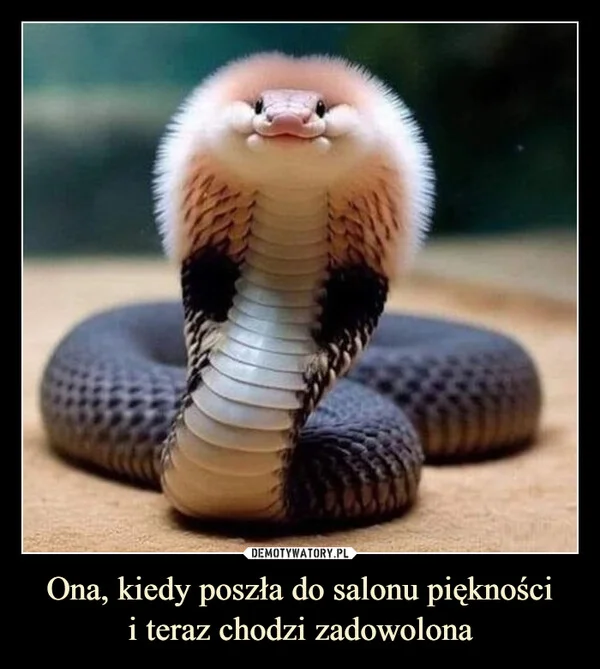 Ona, kiedy poszła do salonu piękności i teraz chodzi zadowolona