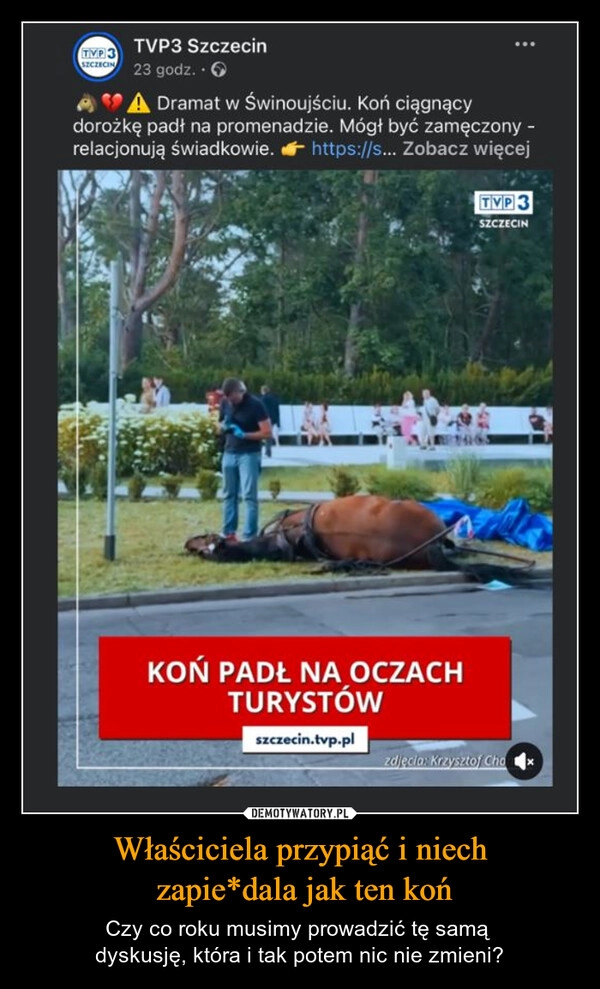 
    Właściciela przypiąć i niech
 zapie*dala jak ten koń