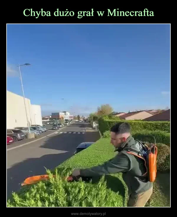 
    Chyba dużo grał w Minecrafta