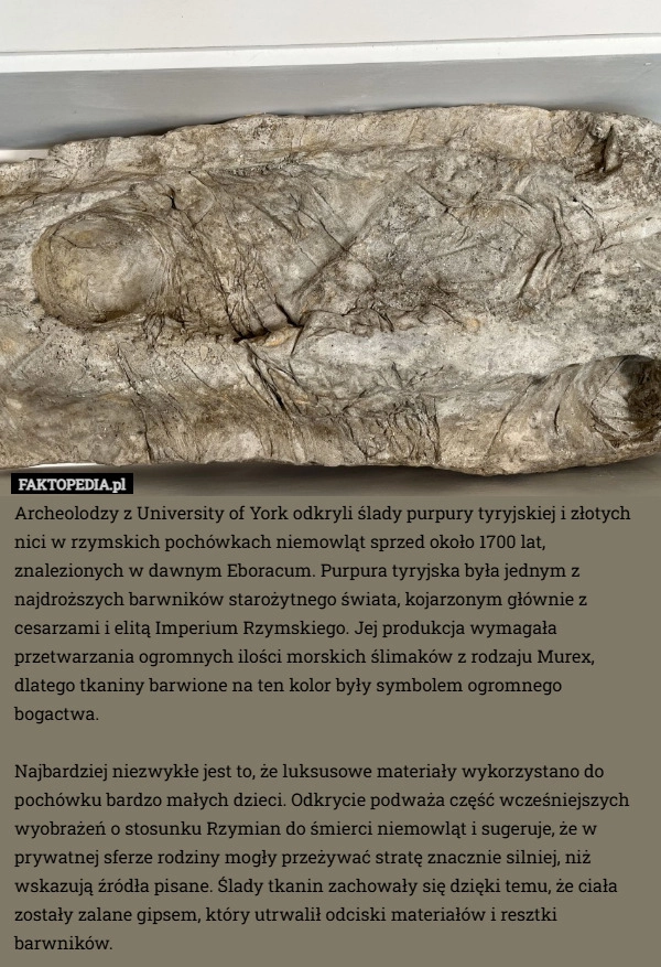 
    Archeolodzy z University of York odkryli ślady purpury tyryjskiej i złotych