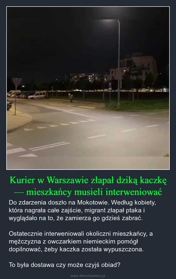 Kurier w Warszawie złapał dziką kaczkę — mieszkańcy musieli interweniować