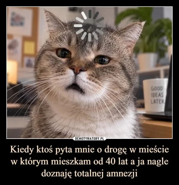 Kiedy ktoś pyta mnie o drogę w mieście w którym mieszkam od 40 lat a ja nagle doznaję totalnej amnezji