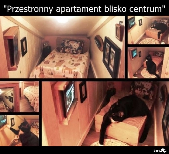 
    Przestronny apartament 