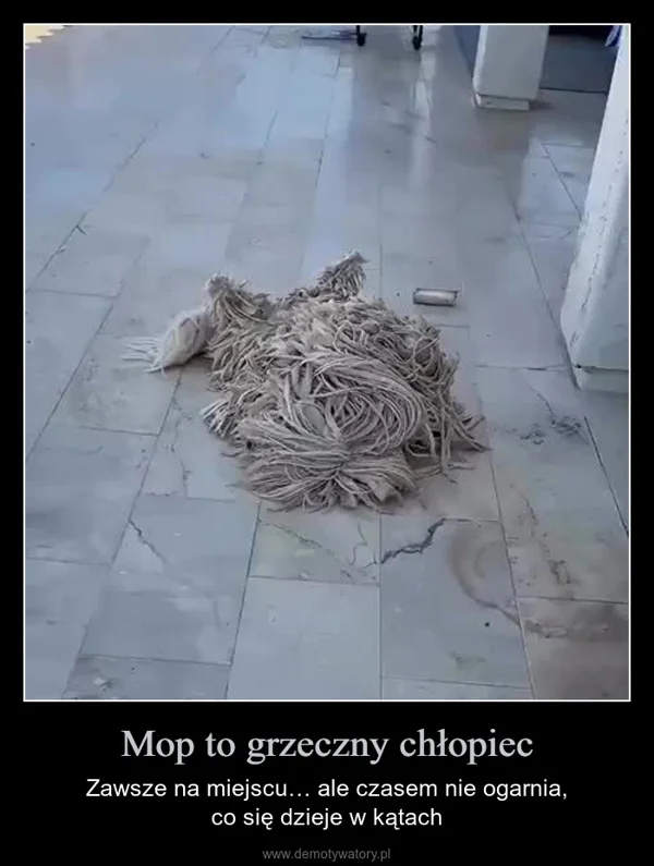 
    Mop to grzeczny chłopiec