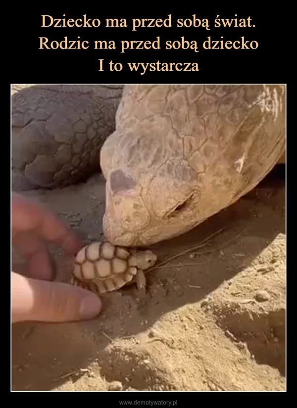 
    Dziecko ma przed sobą świat. Rodzic ma przed sobą dziecko I to wystarcza