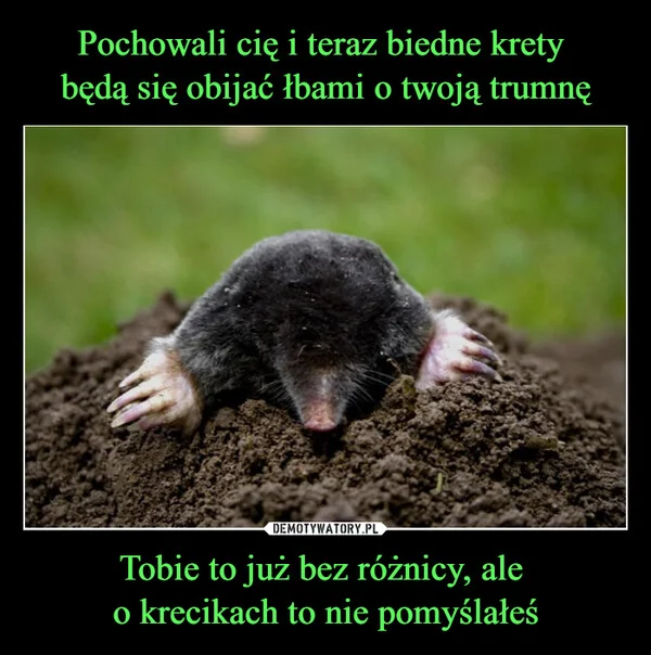 
    Pochowali cię i teraz biedne krety będą się obijać łbami o twoją trumnę Tobie to już bez różnicy, ale o krecikach to nie pomyślałeś