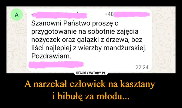 A narzekał człowiek na kasztany i bibułę za młodu...