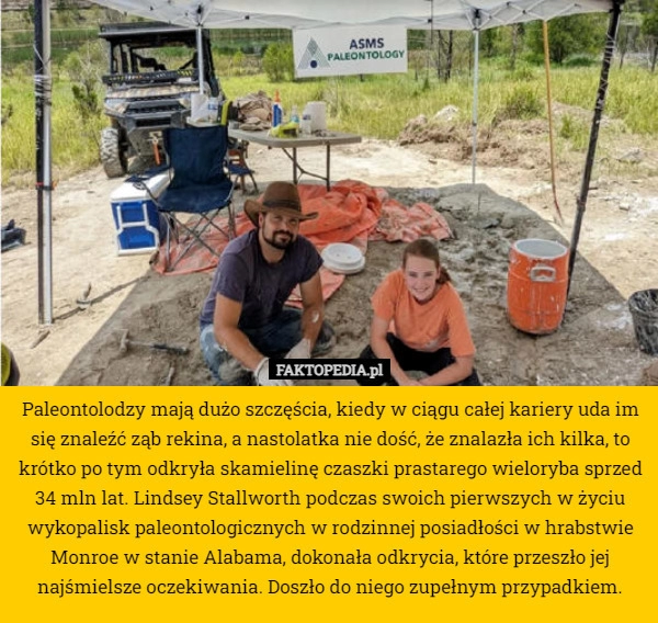 
    Paleontolodzy mają dużo szczęścia, kiedy w ciągu całej kariery uda im się