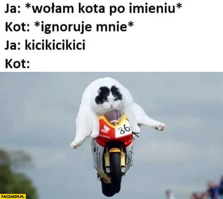 
    Ja: wołam kota po imieniu, kot: ignoruje mnie, ja: kici kici, kot: leci na motorze