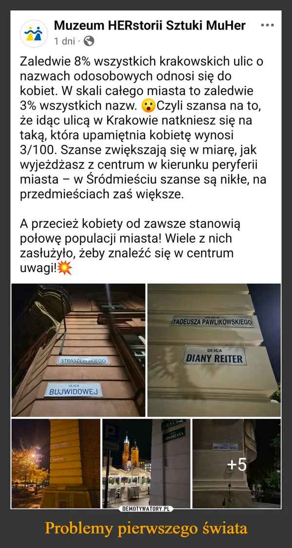 Problemy pierwszego świata