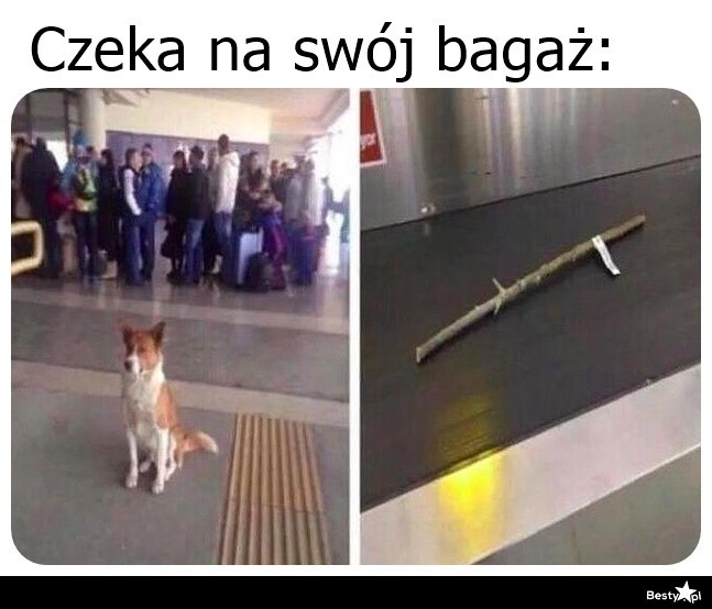 
    W oczekiwaniu na bagaż 