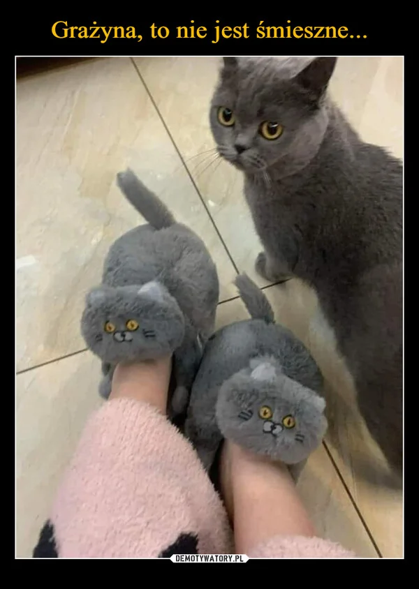 
    Grażyna, to nie jest śmieszne...