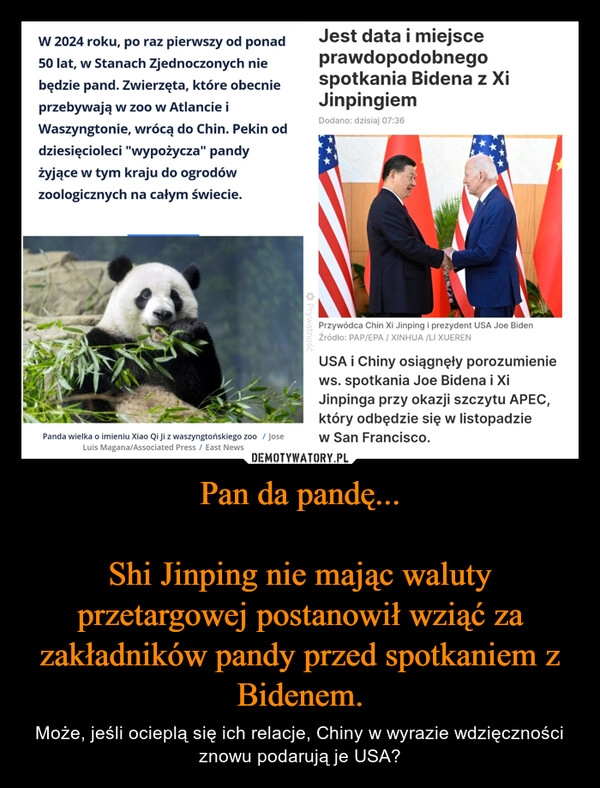 
    Pan da pandę...

Shi Jinping nie mając waluty przetargowej postanowił wziąć za zakładników pandy przed spotkaniem z Bidenem.