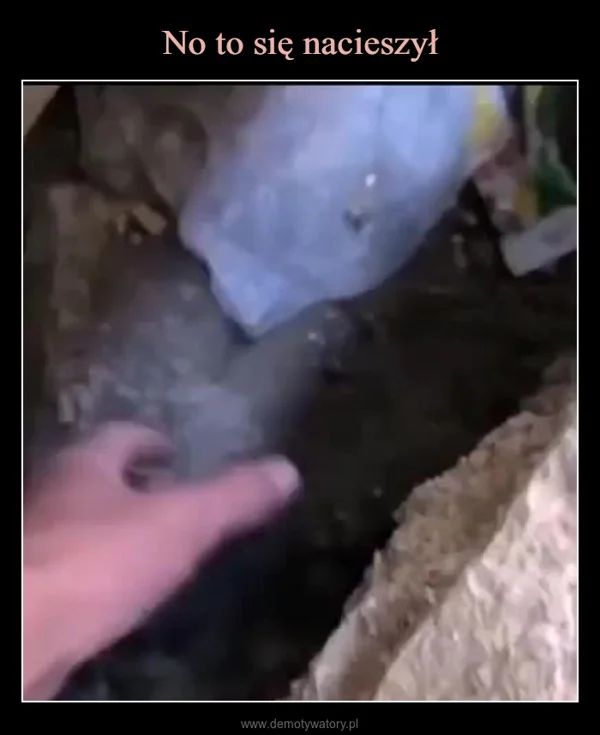 
    No to się nacieszył
