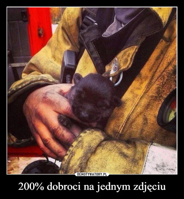 
    200% dobroci na jednym zdjęciu