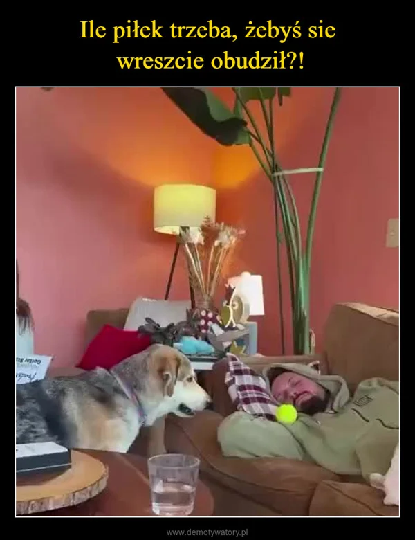 
    Ile piłek trzeba, żebyś sie wreszcie obudził?!