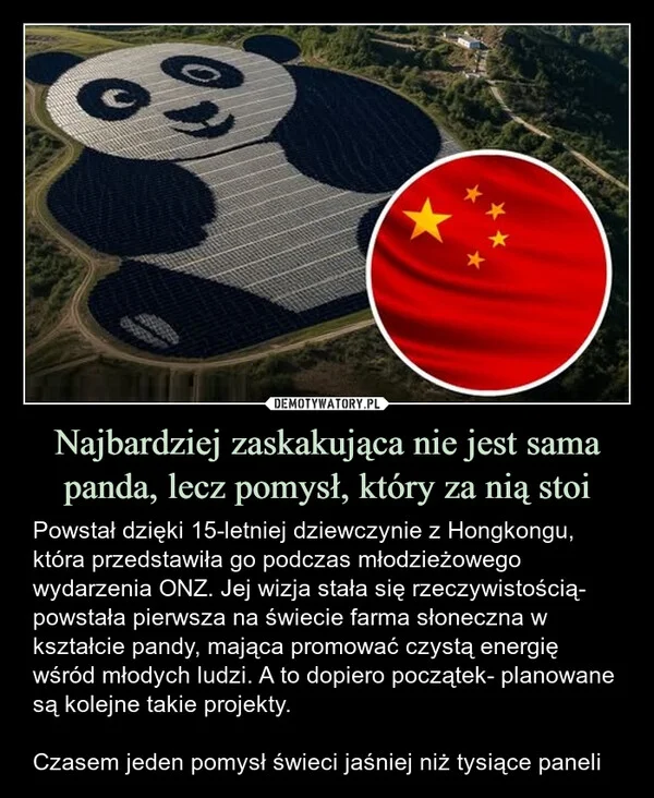 
    Najbardziej zaskakująca nie jest sama panda, lecz pomysł, który za nią stoi