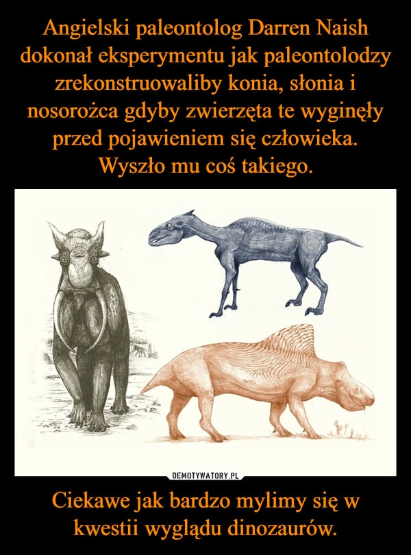 
    Angielski paleontolog Darren Naish dokonał eksperymentu jak paleontolodzy zrekonstruowaliby konia, słonia i nosorożca gdyby zwierzęta te wyginęły przed pojawieniem się człowieka. Wyszło mu coś takiego. Ciekawe jak bardzo mylimy się w kwestii wyglądu dinozaurów.