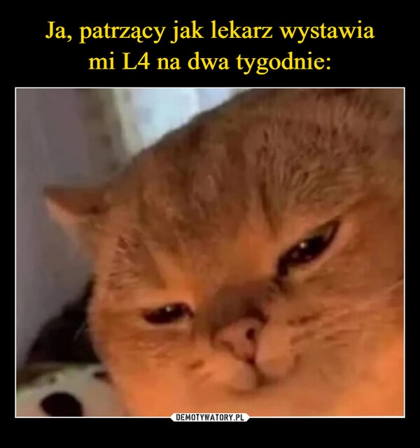 
    Ja, patrzący jak lekarz wystawia
mi L4 na dwa tygodnie: