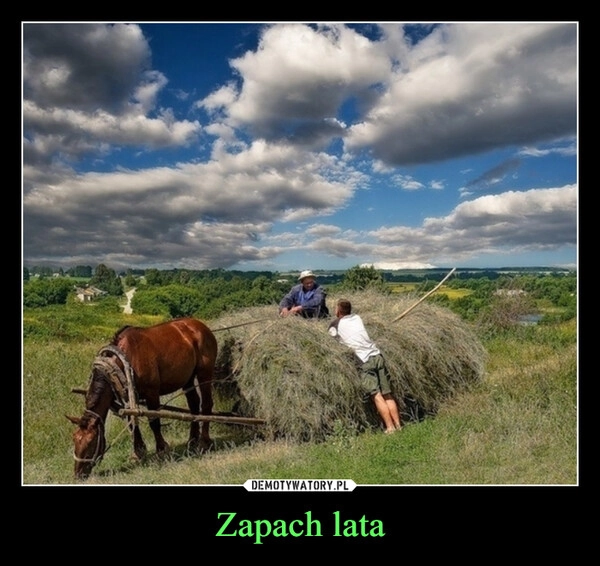 
    Zapach lata