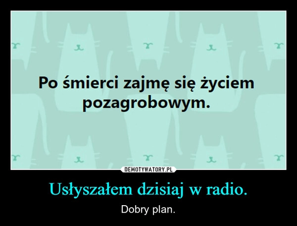 
    Usłyszałem dzisiaj w radio.