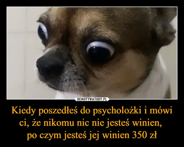 Kiedy poszedłeś do psycholożki i mówi ci, że nikomu nic nie jesteś winien, po czym jesteś jej winien 350 zł