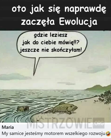 
    Ewolucja