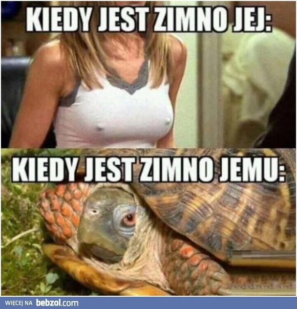 
    Kiedy jest zimno
