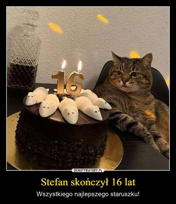 
    Stefan skończył 16 lat