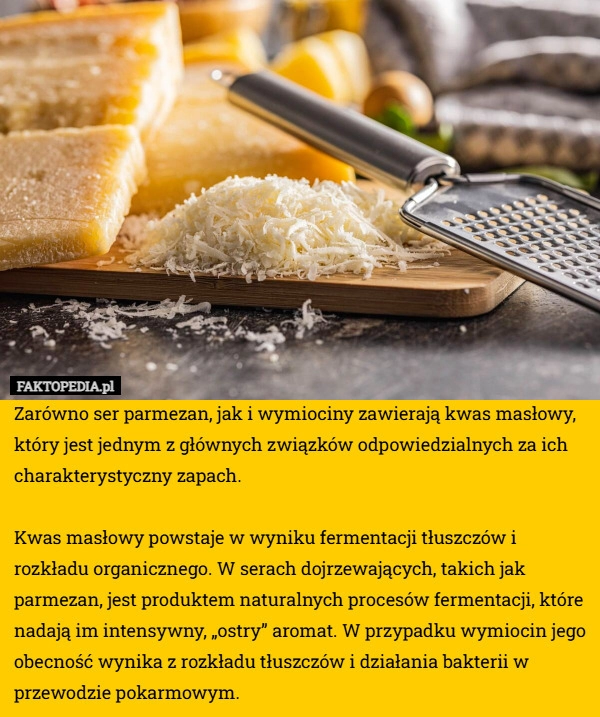 
    Zarówno ser parmezan, jak i wymiociny zawierają kwas masłowy, który jest