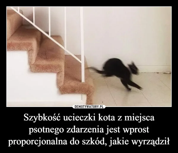 Szybkość ucieczki kota z miejsca psotnego zdarzenia jest wprost proporcjonalna do szkód, jakie wyrządził