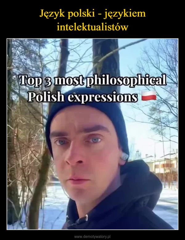 
    Język polski - językiem intelektualistów