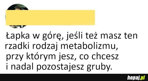 
    Wspaniały metabolizm