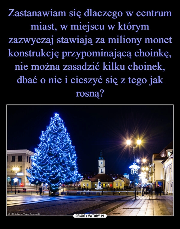 
    
Zastanawiam się dlaczego w centrum miast, w miejscu w którym zazwyczaj stawiają za miliony monet konstrukcję przypominającą choinkę, nie można zasadzić kilku choinek, dbać o nie i cieszyć się z tego jak rosną? 