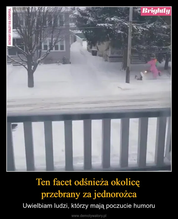 
    Ten facet odśnieża okolicę przebrany za jednorożca