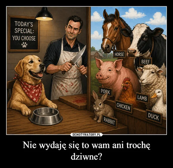 
    Nie wydaję się to wam ani trochę dziwne?
