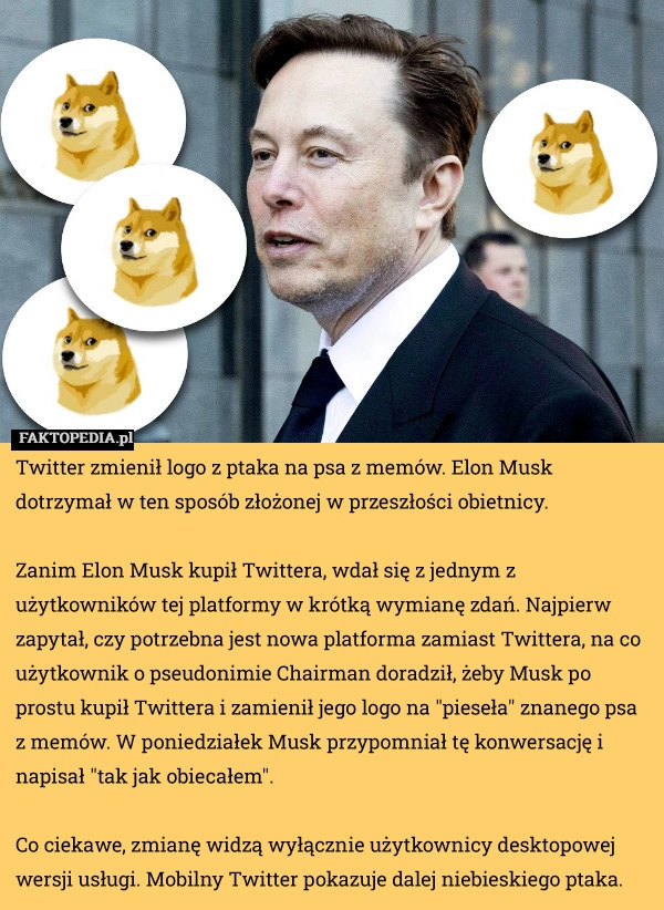 
    Twitter zmienił logo z ptaka na psa z memów. Elon Musk dotrzymał w ten sposób